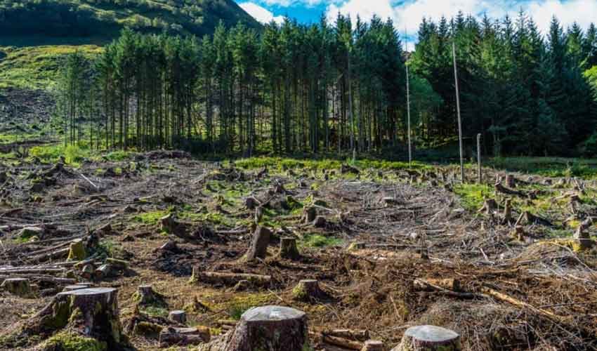 Rs2.78bn allocated to Climate Change Division in new development budget (Courtesy: APP) Rs2.78bn allocated to Climate Change Division in new development budget (Courtesy: APP)