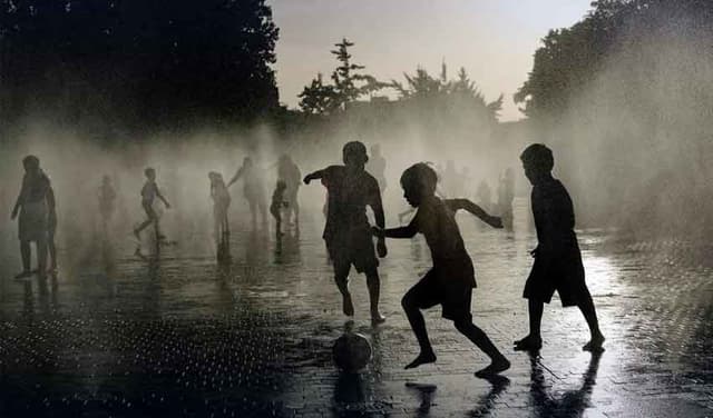 Europe may face 'more deadly weeks' as new heatwave builds: WHO Europe may face 'more deadly weeks' as new heatwave builds: WHO