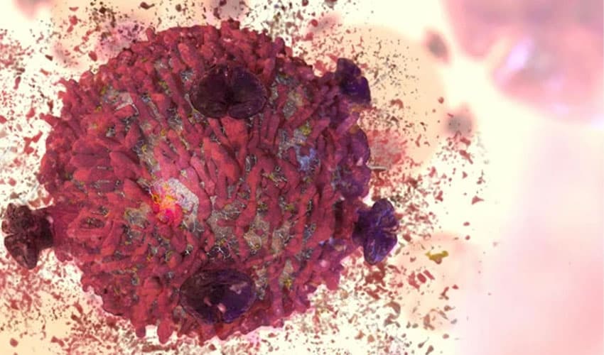 Iron-nano-latest Iron-nano-latest