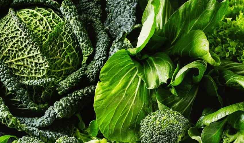 LEAFY-GREEN-VEG LEAFY-GREEN-VEG