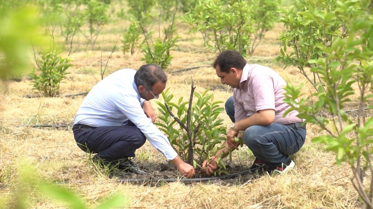 Photo: File Photo: File