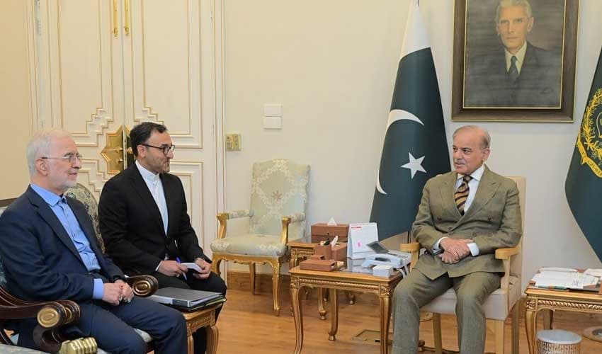 PM-and-Momeni PM-and-Momeni