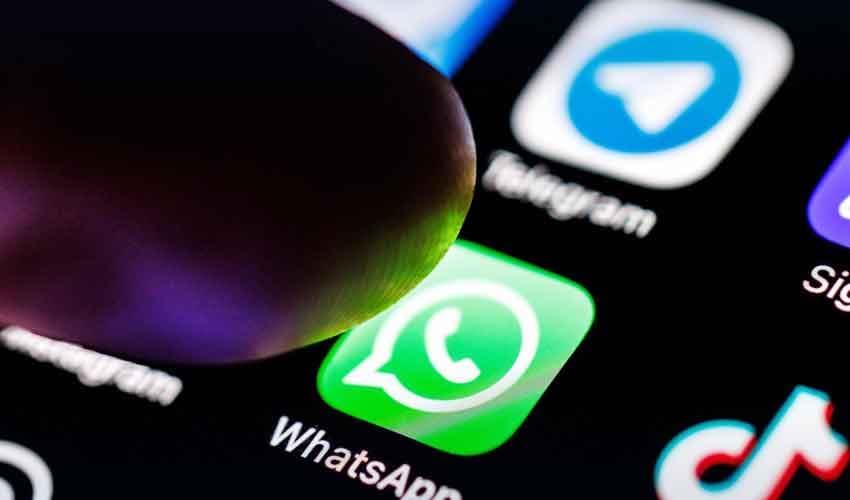WhatsApp feature for profile sharing WhatsApp feature for profile sharing