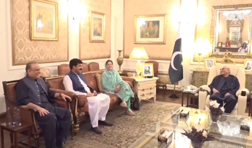 President Zardari, Aleem Khan discuss development projects (Courtesy: Online) President Zardari, Aleem Khan discuss development projects (Courtesy: Online)