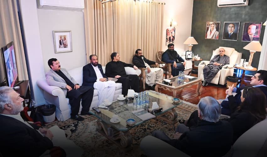Asif Zardari ANP presidential election Asif Zardari ANP presidential election