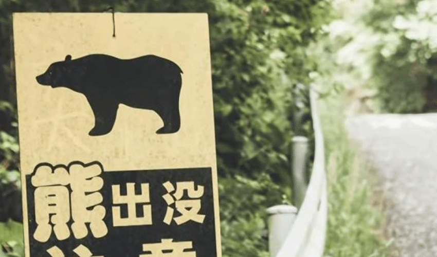 Bear sighting forces cancellation of golf tournament in Japan (Courtesy: File) Bear sighting forces cancellation of golf tournament in Japan (Courtesy: File)