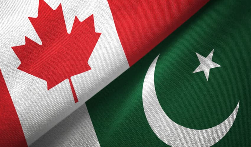 Photo: Online Photo: Online