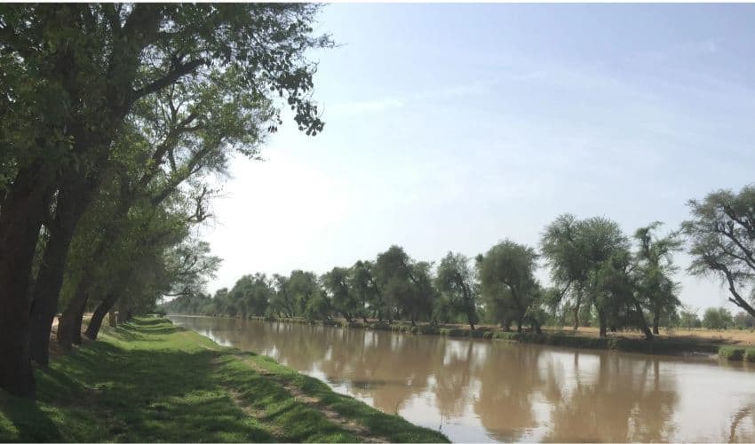 Canals Canals