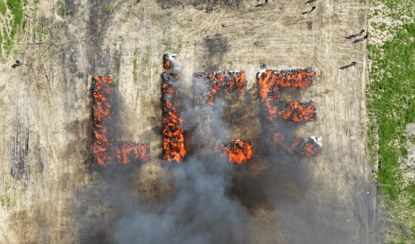 Cannabis Burning Cannabis Burning