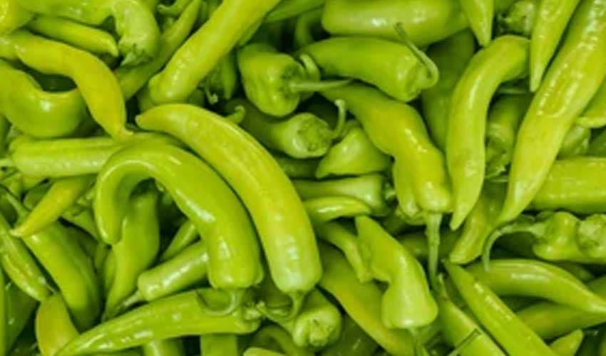 Chinese farmer feeds fish 5,000kg of chillies per day for ‘better flavour’ (Courtesy: File) Chinese farmer feeds fish 5,000kg of chillies per day for ‘better flavour’ (Courtesy: File)