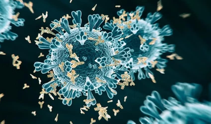 Karachi reports fresh coronavirus cases (Courtesy: Online) Karachi reports fresh coronavirus cases (Courtesy: Online)