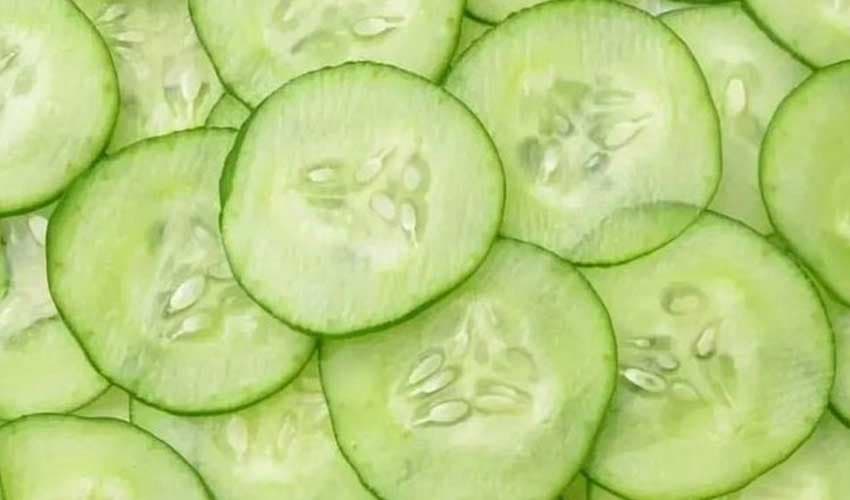 Nutrition expert advises regular cucumber intake during summer (Courtesy: File) Nutrition expert advises regular cucumber intake during summer (Courtesy: File)