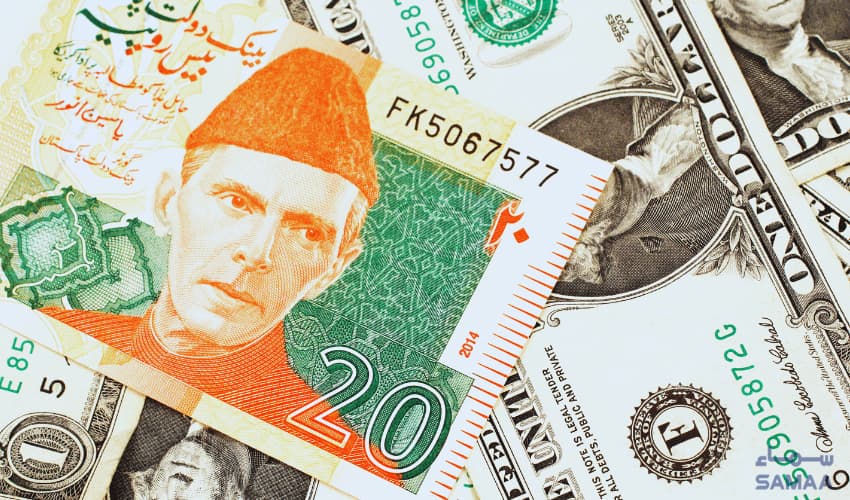 dollar dollar