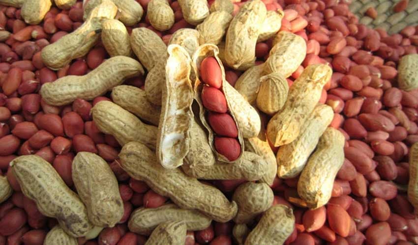 Winter foods to help boost immunity and warmth (Courtesy: Online) Winter foods to help boost immunity and warmth (Courtesy: Online)