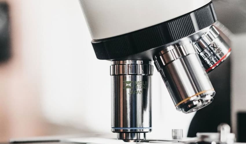 Gut microbiome composition found to predict risk of life-threatening infections (Courtesy: Online) Gut microbiome composition found to predict risk of life-threatening infections (Courtesy: Online)