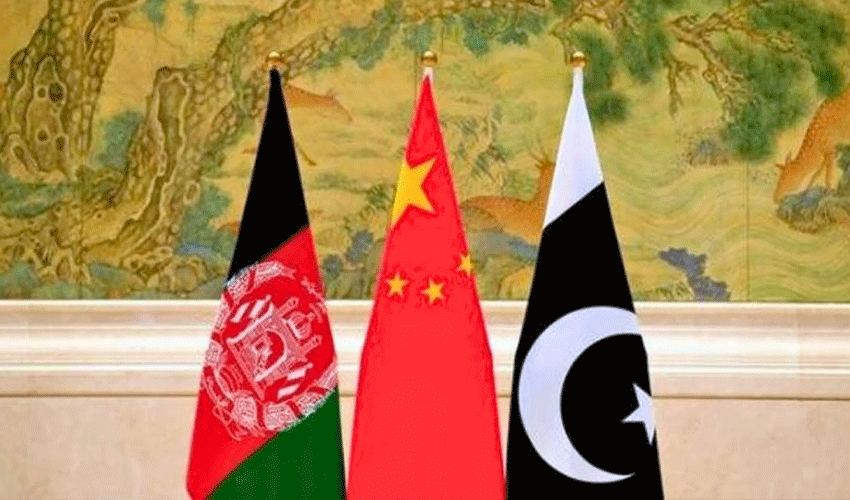 Photo: File Photo: File