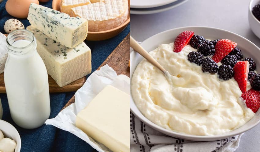 New study reveals surprising heart benefits of cheese, yogurt and chocolate (Courtesy: Online) New study reveals surprising heart benefits of cheese, yogurt and chocolate (Courtesy: Online)