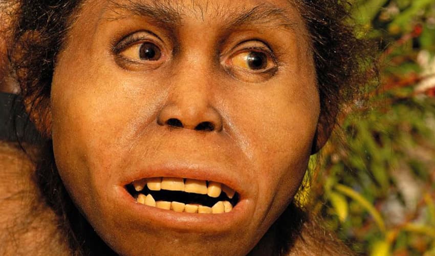 Homo erectus survived arid deserts over a million years ago (Courtesy: File) Homo erectus survived arid deserts over a million years ago (Courtesy: File)