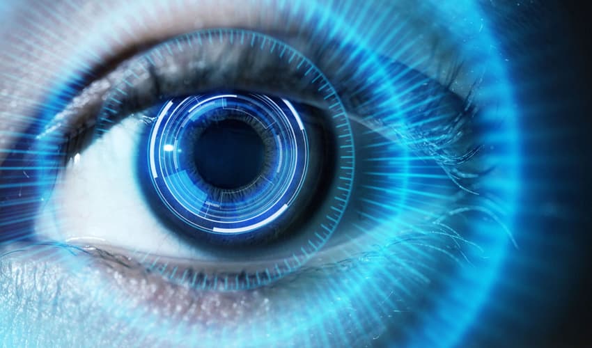 Human Eye Human Eye