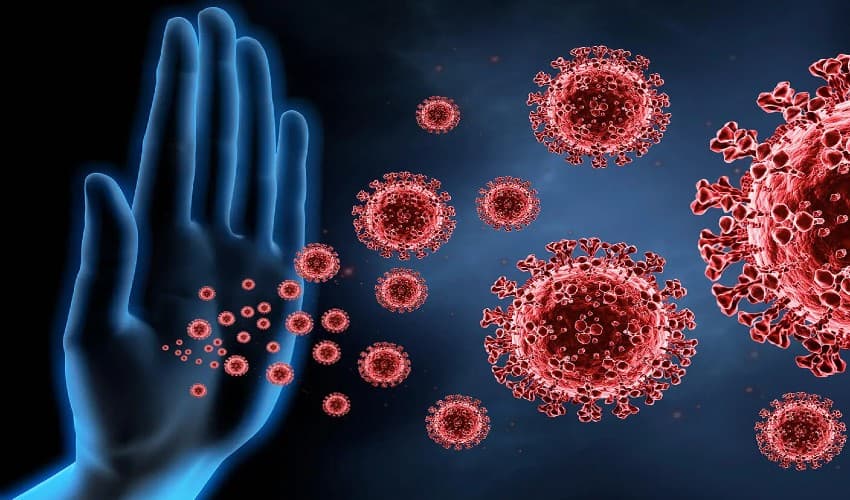 Six evidence-based ways to maintain strong immune system (Courtesy:File) Six evidence-based ways to maintain strong immune system (Courtesy:File)