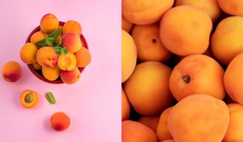 Apricots help regulate blood pressure, protect liver (Courtesy: Online) Apricots help regulate blood pressure, protect liver (Courtesy: Online)