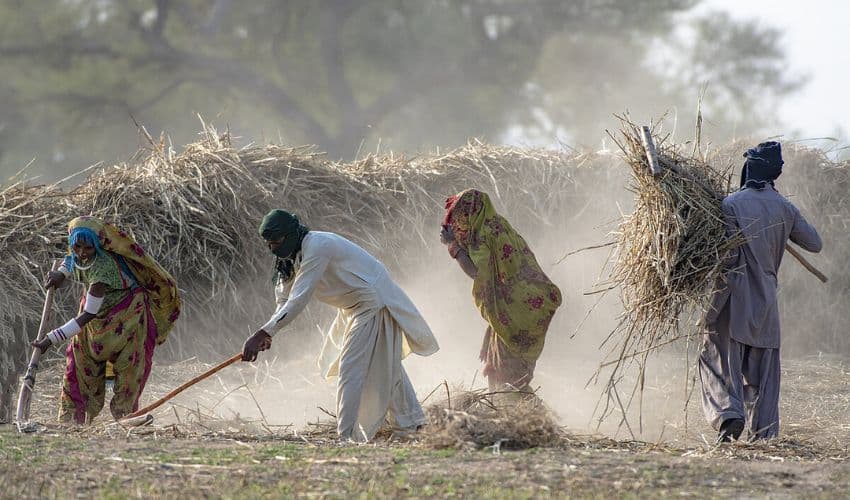 Labourers in Pakistan Labourers in Pakistan