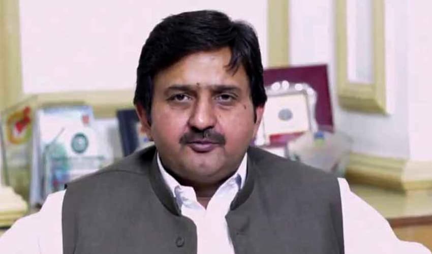 Malik Ahmed says PML-N will continue to foster the country's economy (Courtesy: Online) Malik Ahmed says PML-N will continue to foster the country's economy (Courtesy: Online)