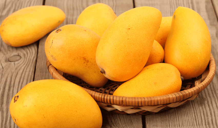 Pakistan to export 125,000 tonnes of mangoes (Courtesy: Online) Pakistan to export 125,000 tonnes of mangoes (Courtesy: Online)