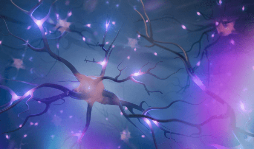 Neurons Neurons