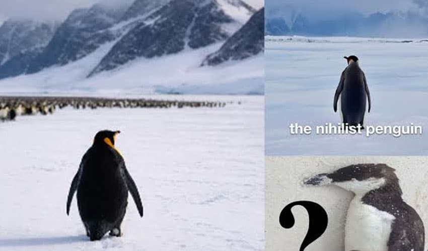 Photo: Online Photo: Online