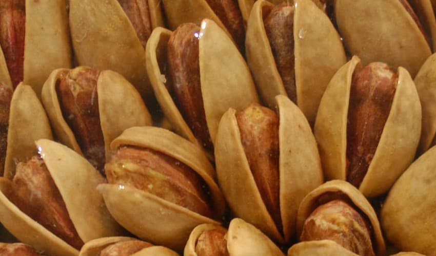 Pistachios help to reduce blood cholesterol levels (Courtesy: File) Pistachios help to reduce blood cholesterol levels (Courtesy: File)