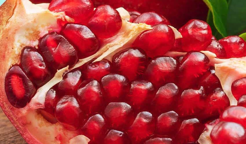 Pomegranate plays significant role in regulating blood sugar levels (Courtesy: Online Pomegranate plays significant role in regulating blood sugar levels (Courtesy: Online