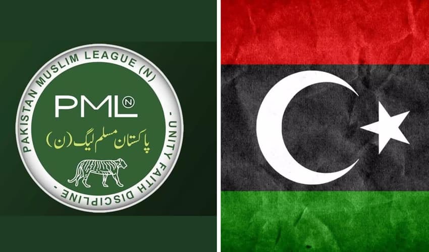 PPP and PML N PPP and PML N