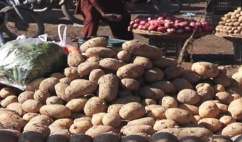 Fruit, vegetable prices slashed, claims Punjab minister – File Fruit, vegetable prices slashed, claims Punjab minister – File