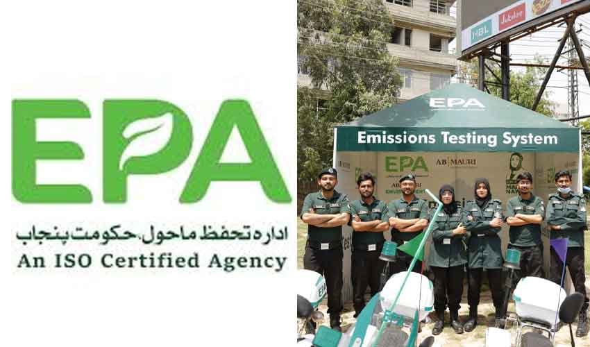 Punjab green stickers Punjab green stickers