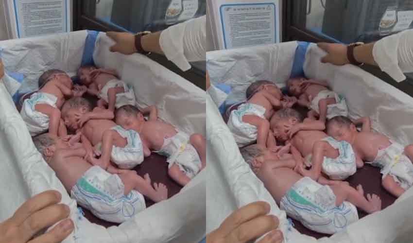 Quetta quintuplets Quetta quintuplets