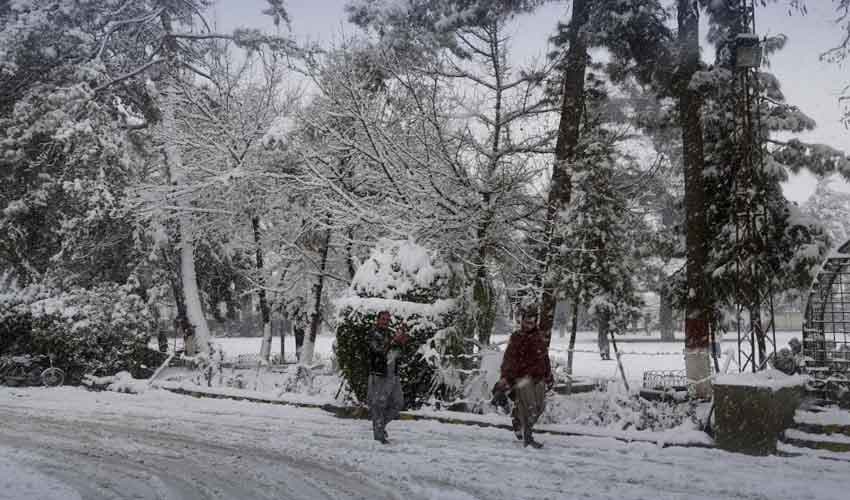 Photo: File Photo: File