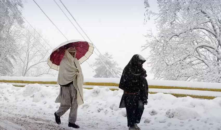 Photo: File Photo: File