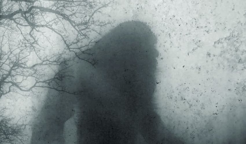 Two men found dead in Oregon forest after Bigfoot search (Courtesy: Online) Two men found dead in Oregon forest after Bigfoot search (Courtesy: Online)