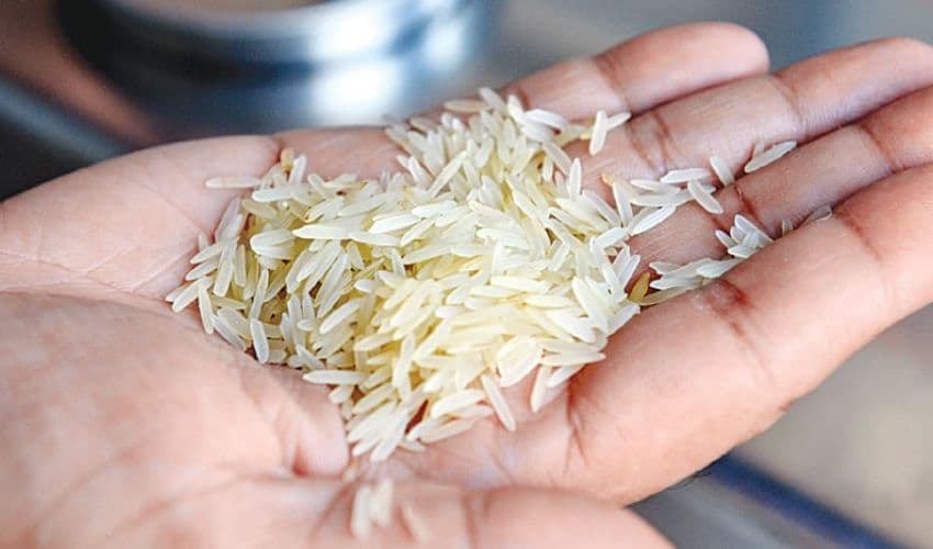 rice-1 rice-1