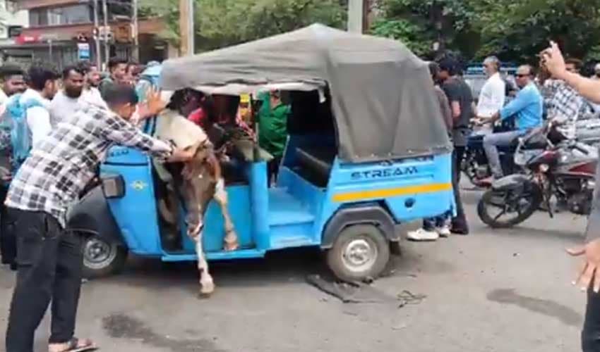 Horse fight causes chaos in Madhya Pradesh (Courtesy: Online) Horse fight causes chaos in Madhya Pradesh (Courtesy: Online)