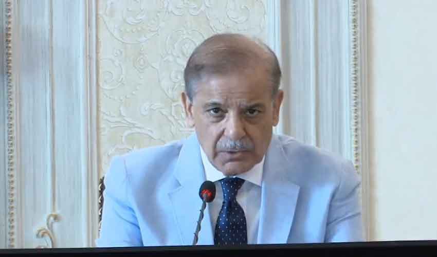 PM Shehbaz halts electricity bill collection in flood-stricken areas (Courtesy: File) PM Shehbaz halts electricity bill collection in flood-stricken areas (Courtesy: File)