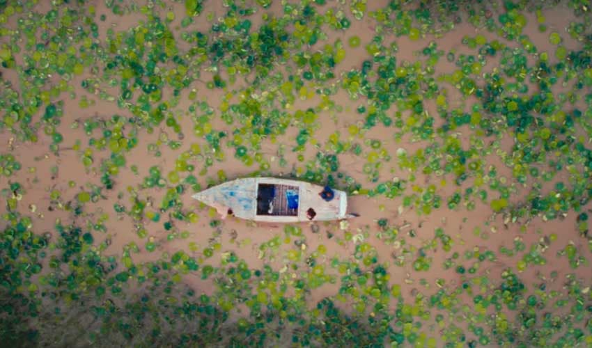 'Moklani – The Last Mohanas' becomes first Pakistani film to win at Jackson Wild award (@jawadshariffilms) 'Moklani – The Last Mohanas' becomes first Pakistani film to win at Jackson Wild award (@jawadshariffilms)