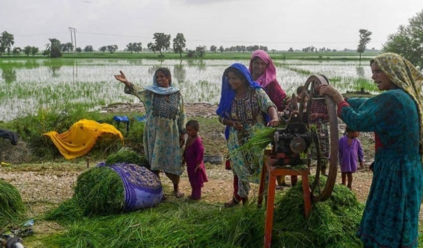 Sindh Agriculture Income tax Sindh Agriculture Income tax