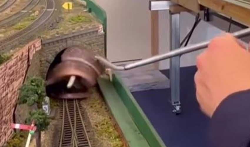 Venomous snake found inside model train tunnel in Queensland home (Courtesy: File) Venomous snake found inside model train tunnel in Queensland home (Courtesy: File)