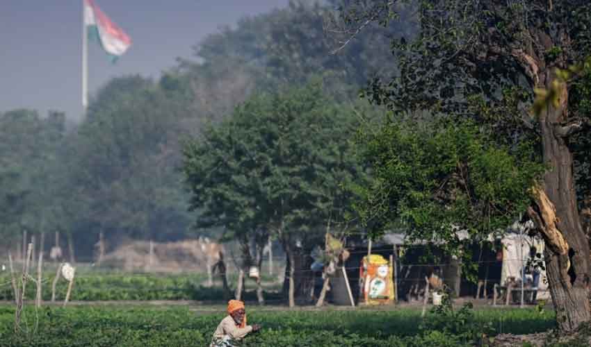 Photo: File Photo: File