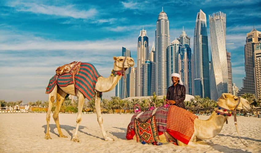 UAE visit visa UAE visit visa