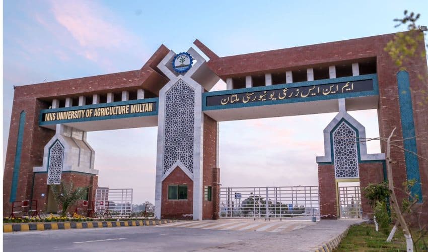 Multan Agriculture University Multan Agriculture University