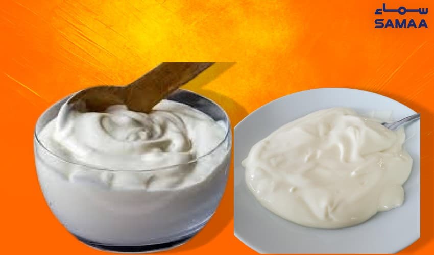 Yogurt supports digestive health, boosts immunity (Courtesy: Samaa Digital - art work) Yogurt supports digestive health, boosts immunity (Courtesy: Samaa Digital - art work)