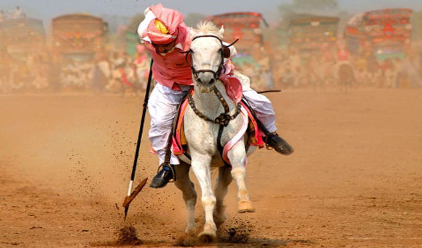 All set for Lahore’s historic Horse and Cattle Show in Feb